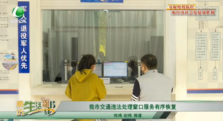我市交通违法处理窗口服务有序恢复