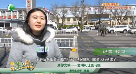 助你文明——文明礼让斑马线