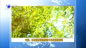 专家：无证据证明杨柳絮中存在新冠病毒