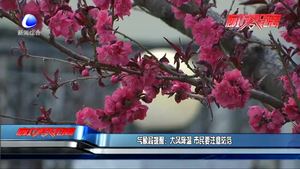 新一轮冷空气来袭 本周将有大风降温