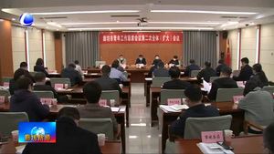 我市召开青年工作联席会议第二次全体（扩大）会议