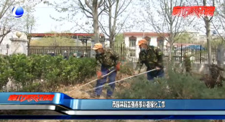 市园林局加强春季补植绿化工作