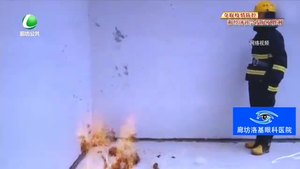 杨柳絮容易引发火灾 消防员来解答