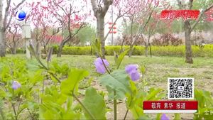 “廊坊：京津走廊上的一座花园城市” 我市打造多处景观建筑 园林建设受市民点赞