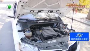 柳絮飘飞季 如何减少柳絮对汽车的影响