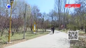 赏春不伤春 公园的野菜不要采