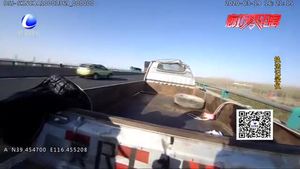 车上小羊“撒”满高速 交警及时出动治理