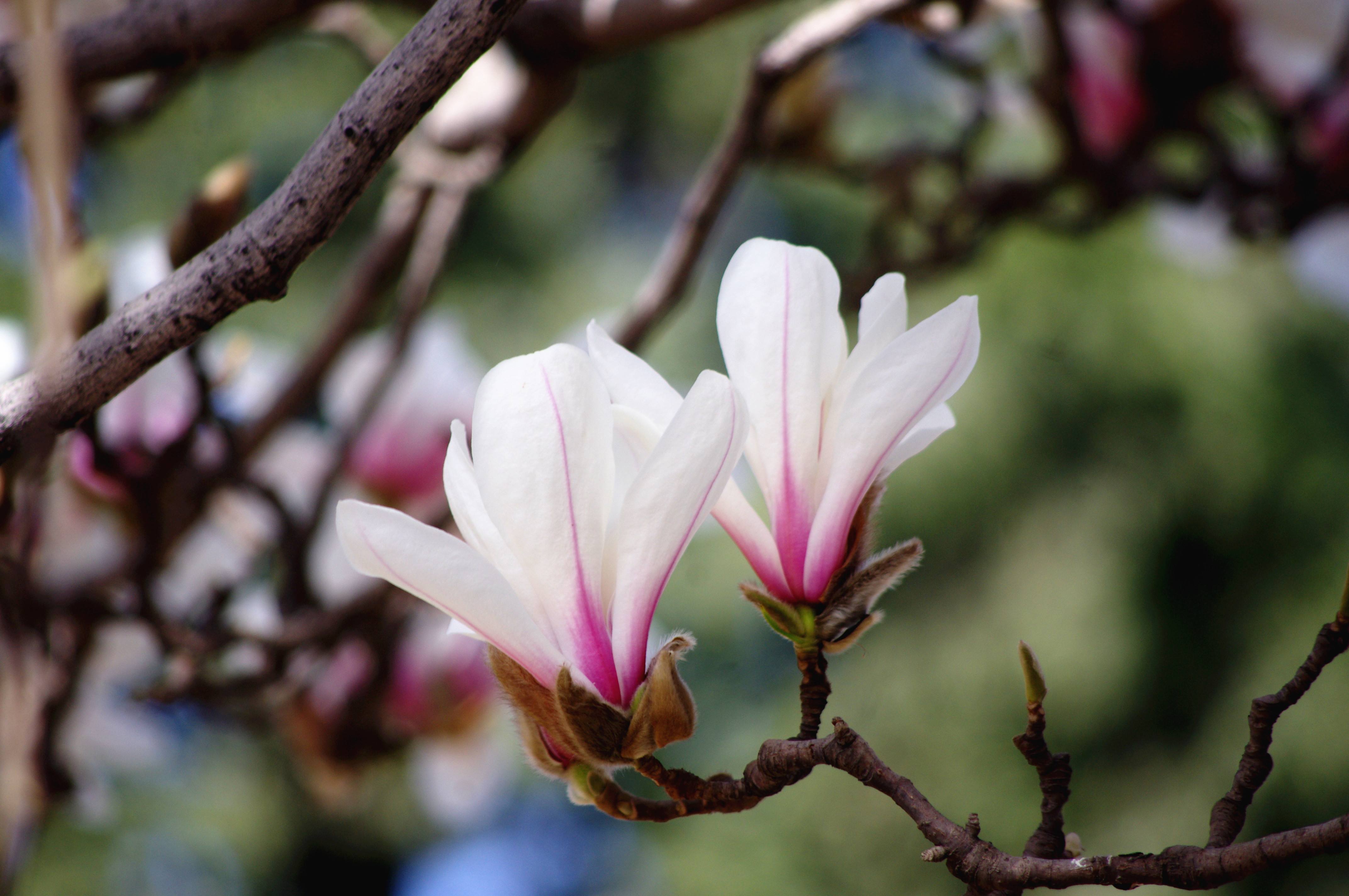 广播剧《非常冬季》完整版