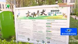 创城，我们一起：专项整治在行动 引导市民依法文明养犬