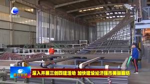 我市召开政法机关护航临空和重点项目建设 加强社会治理工作会议