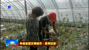 争创全国文明城市·系列访谈——市农林科学院