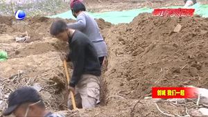 今年我市将改造91.4公里城市排水管网