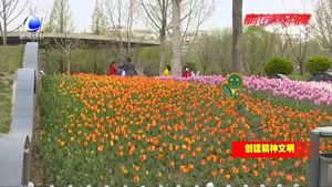 【创建精神文明】提升自身素养 让城市更文明 让生活更美好