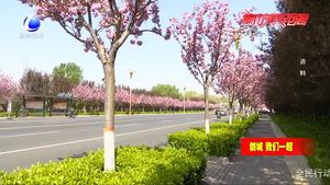 廊坊市召开争创全国文明城市工作第二次新闻发布会