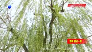 城市环境共同维护 市容整治人人有责