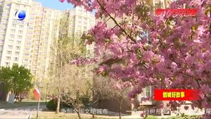 社区志愿者白恩香 组织居民义务清理小区宠物粪便