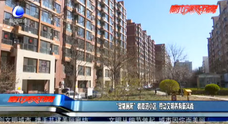 “宠物厕所”悄然进小区 带动文明养狗新风尚