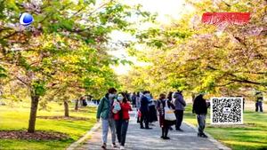 皮肤科专家教你如何预防皮肤过敏