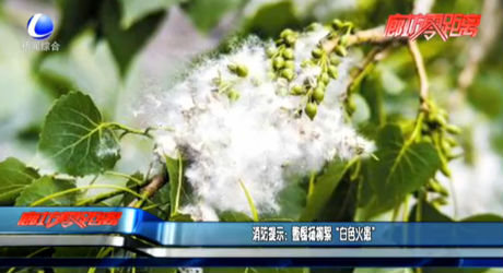 消防提示：警惕杨柳絮“白色火患”