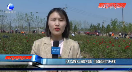 艺术大道绿化工程如火如荼 打造城市迎宾门户形象