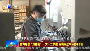 奋力夺取：双胜利·大干二季度 实现双过半 一把手访谈——文安县委书记