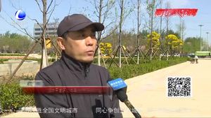 【记者带您“云”游廊坊】假期好去处—廊坊开发区的“月季大道”