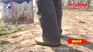路贵俊：用脚步丈量土地 用汗水守护碧水