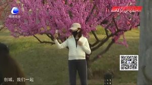 【曝光台】假期游园 请拒绝“不文明行为”