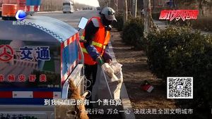 平凡的岗位 不平凡的公路养护人