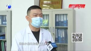 花丛蜂类活跃 游玩赏花防止被蛰