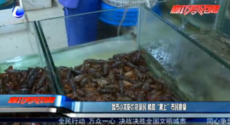 我市小龙虾价格亲民 悄然“爬上”市民餐桌