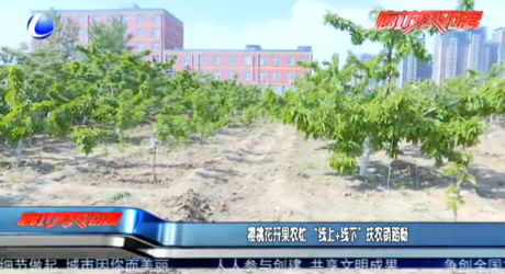 樱桃花开果农忙 “线上+线下”扶农销路肠