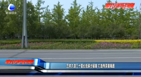 艺术大道三十里长街移步易景 打造秀美景观路