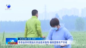 市农业农村局加大农业技术指导 确保夏粮丰产丰收