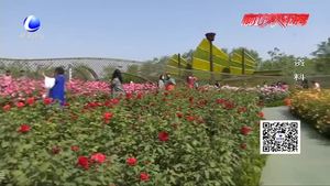 《廊坊市加强大气污染防治若干规定》6月1日起正式实施