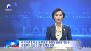 中共中央总书记 国家主席 中央军委主席习近平看望参加政协会议的经济界委会