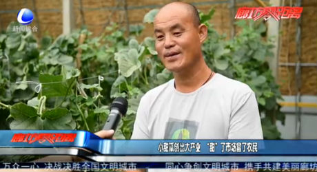 小甜瓜创出大产业 “甜”了市场富了农民