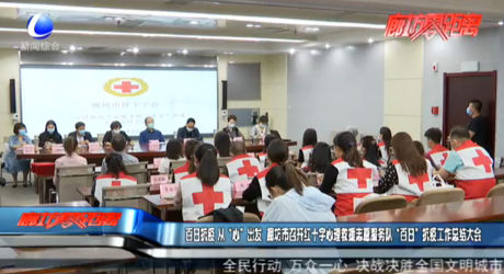 百日抗疫从“心”出发 廊坊市召开红十字心理救援志愿服务队“百日”抗疫工作总结大会