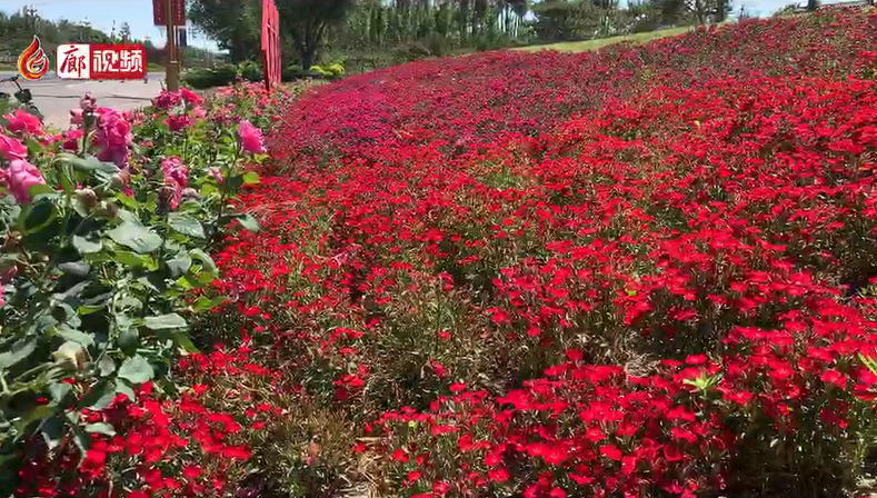 廊视频 I 创建文明城市