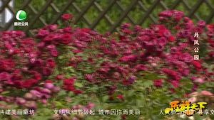 乐游天下 20200605