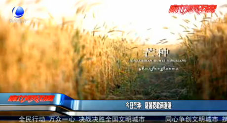 今日芒种：夏暑菱歌雨漫漫