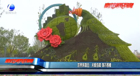 世界环境日：关爱自然 刻不容缓