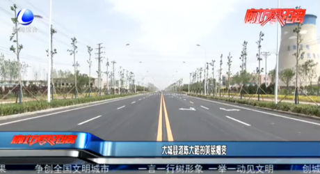 大城县道陈大路的美丽嬗变