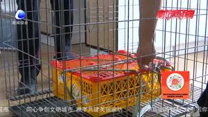 “亮剑2020”再添战果 永清公安打掉一非法销售珍贵 濒临野生动物犯罪团伙