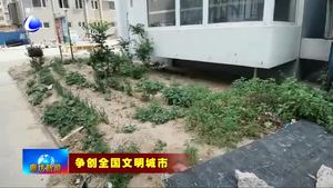我市部分小区创建点位问题亟待整改