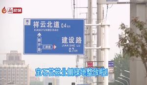 廊视频 I 宝石花苑北侧绿地改造