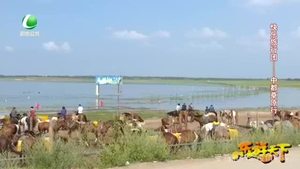 乐游天下 20200626