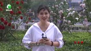 天天美食 20200815