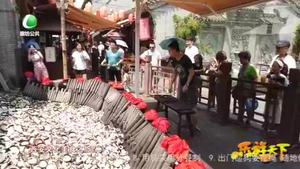 乐游天下 20200821