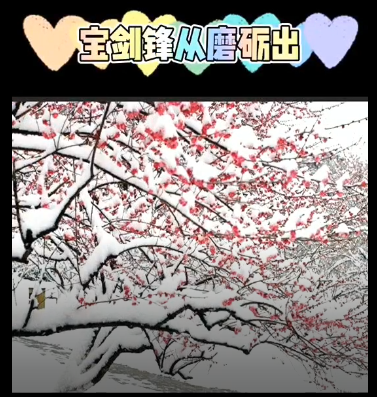 我爱廊坊我爱家